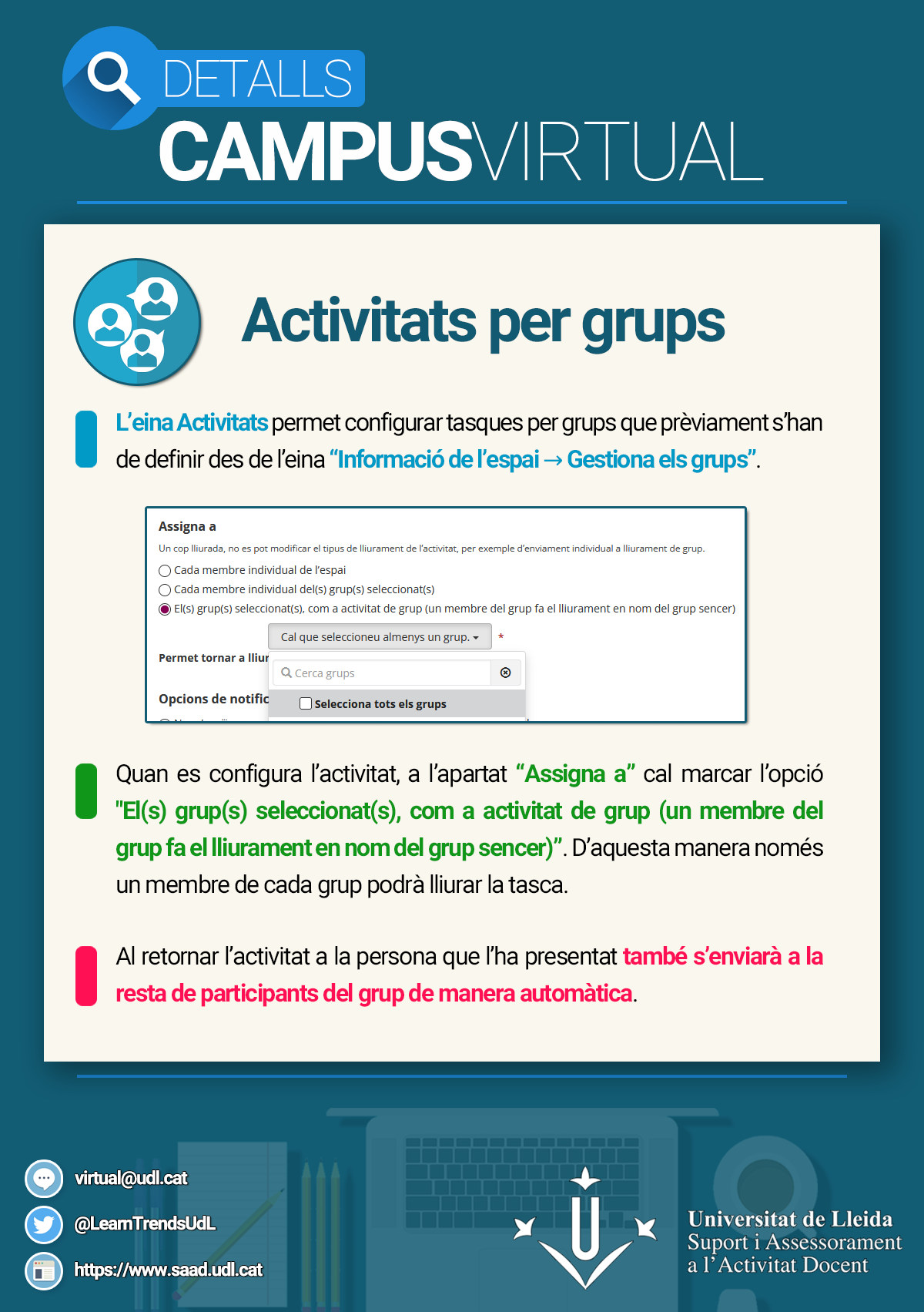 Infografia activitats per grups